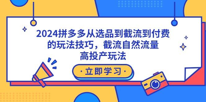 2024拼多多从选品到截流到付费的玩法技巧，截流自然流量玩法，高投产玩法-随风资源网
