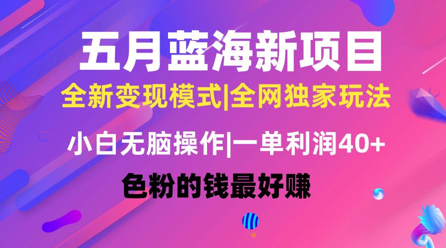 五月蓝海项目全新玩法，小白无脑操作，一天几分钟，矩阵操作，月入4万+-随风资源网