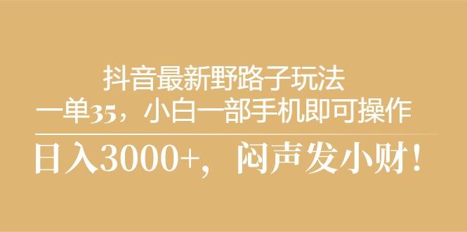 抖音最新野路子玩法，一单35，小白一部手机即可操作，，日入3000+，闷…-随风资源网