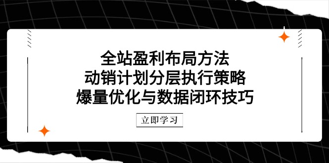 全站盈利布局方法：动销计划分层执行策略，爆量优化与数据闭环技巧-随风资源网