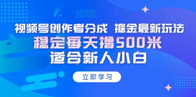 【蓝海项目】视频号创作者分成 掘金最新玩法 稳定每天撸500米 适合新人小白-随风资源网