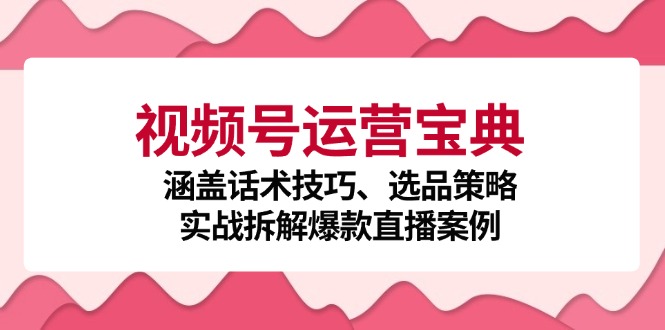 视频号运营宝典：涵盖话术技巧、选品策略、实战拆解爆款直播案例-随风资源网