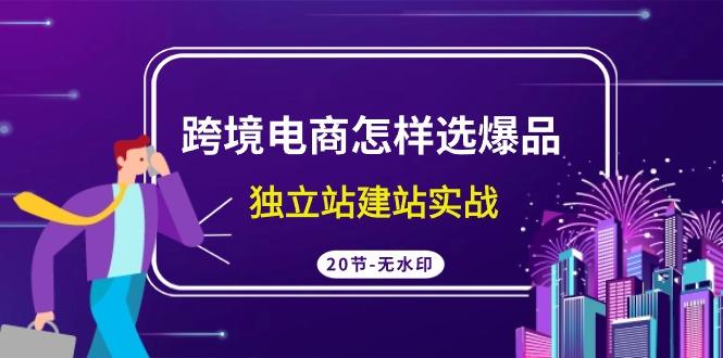 (9369期)跨境电商怎样选爆品，独立站建站实战(20节高清无水印课)-随风资源网