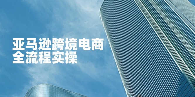 亚马逊跨境电商全流程实操，教你从零开始，掌握店铺运营与广告技巧-随风资源网