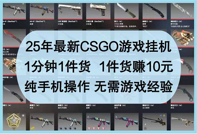25年最新CSGO游戏挂机，1分钟1件货，1件货赚10元 纯手机操作 无需游戏经验-随风资源网