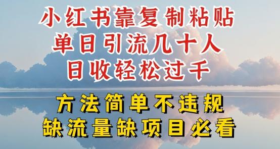 小红书靠复制粘贴单日引流几十人目收轻松过千，方法简单不违规【揭秘】-随风资源网