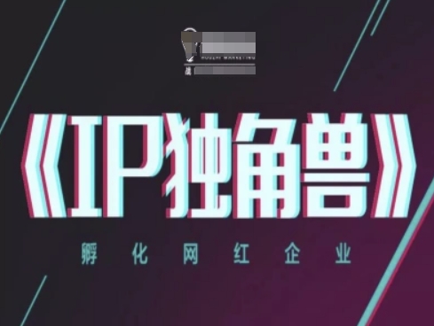 IP独角兽，孵化网红企业，ip教程-随风资源网