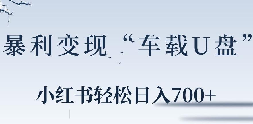 小红书“车载U盘”暴利引流，日入700+-随风资源网