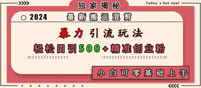最新搬运混剪暴力引流玩法，轻松日引500+精准创业粉，小白可零基础上手-随风资源网