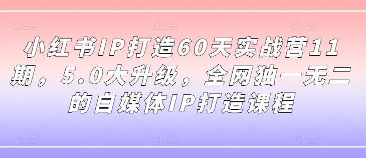 小红书IP打造60天实战营11期，5.0大升级，全网独一无二的自媒体IP打造课程-随风资源网