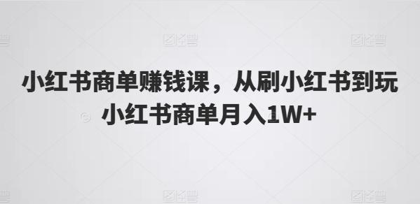 小红书商单赚钱课，从刷小红书到玩小红书商单月入1W+-随风资源网