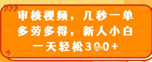 审核视频，几秒一单，多劳多得，新人小白一天轻松3张【揭秘】-随风资源网