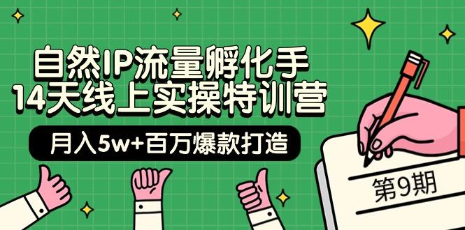 (9881期)自然IP流量孵化手 14天线上实操特训营【第9期】月入5w+百万爆款打造 (74节)-随风资源网