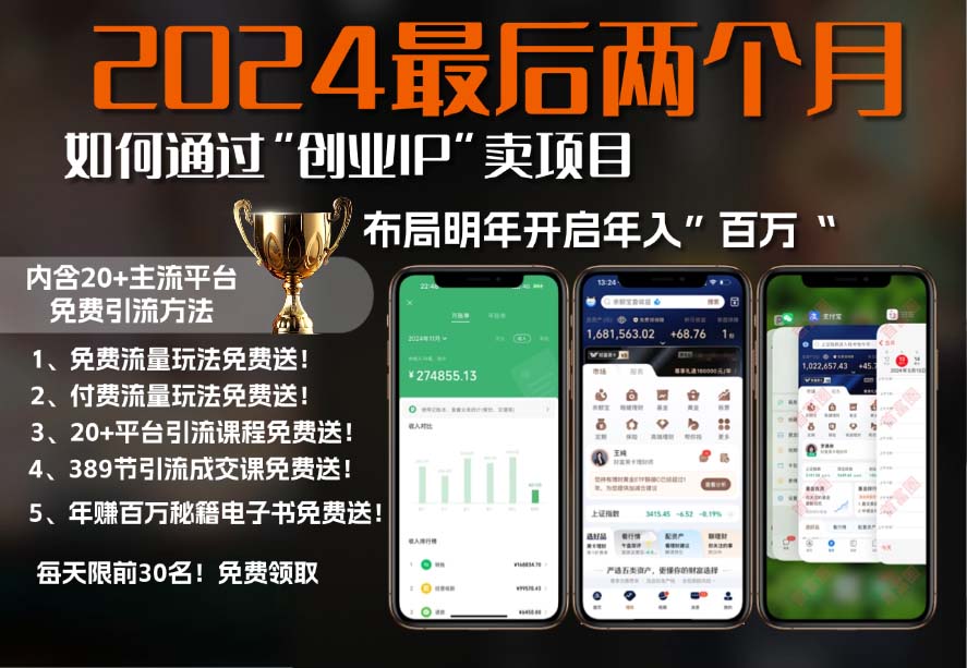 2024最后两个月如何通过”创业IP“卖项目年入”百万“,创业IP+最强引流…-随风资源网