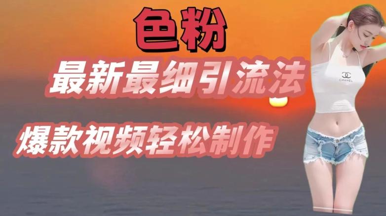 se粉最新最细引流法，七天螺旋起号法，爆款视频轻松制作【揭秘】-随风资源网