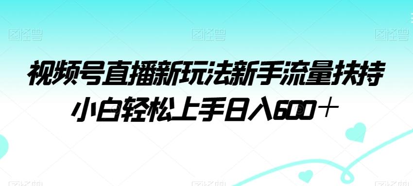 视频号直播新玩法新手流量扶持小白轻松上手日入600＋【揭秘】-随风资源网