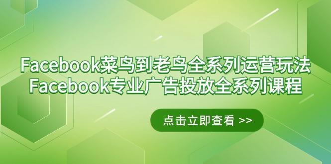Facebook-菜鸟到老鸟全系列运营玩法+Facebook-专业广告投放全系列课程-随风资源网