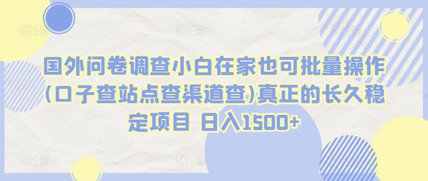 国外问卷调查小白在家也可批量操作(口子查站点查渠道查)真正的长久稳定项目 日入1500+【揭秘】-随风资源网