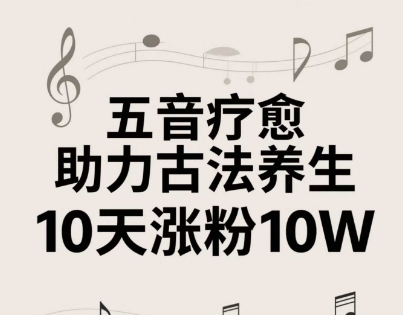 古法五音养生教程，五音疗愈的视频的制作方法，2-4小时就能学会，作者10天涨粉10W-随风资源网