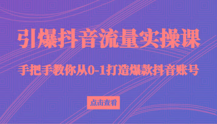 引爆抖音流量实操课，手把手教你从0-1打造爆款抖音账号(27节课)-随风资源网