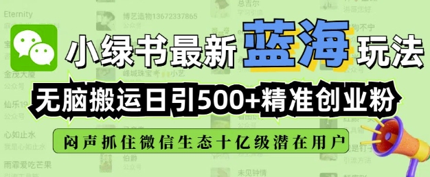 小绿书无脑搬运引流，全自动日引500精准创业粉，微信生态内又一个闷声发财的机会-随风资源网