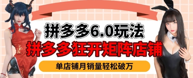 拼多多虚拟商品暴利6.0玩法，轻松实现月入过W-随风资源网