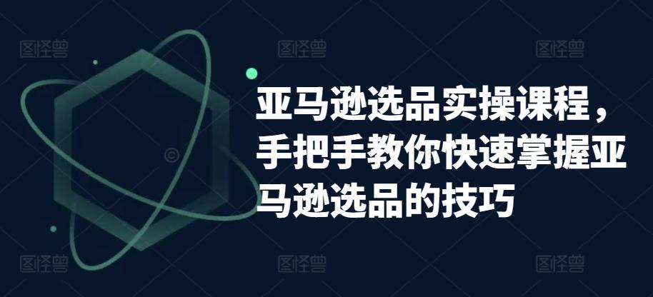 亚马逊选品实操课程，手把手教你快速掌握亚马逊选品的技巧-随风资源网