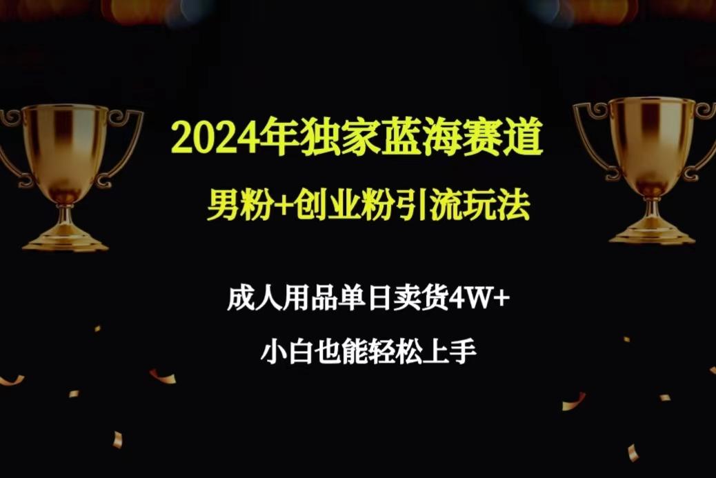 2024年独家蓝海赛道男粉+创业粉引流玩法，成人用品单日卖货4W+保姆教程-随风资源网