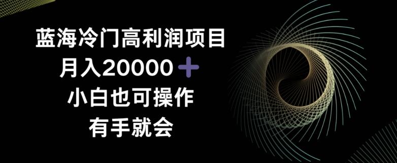 蓝海冷门高利润项目月入2000，小白也可操作有手就会-随风资源网