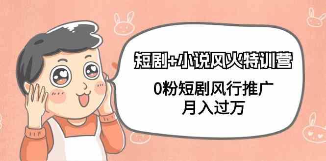 小说+短剧风火特训营，0粉短剧小说风行推广，实现月入过万-随风资源网