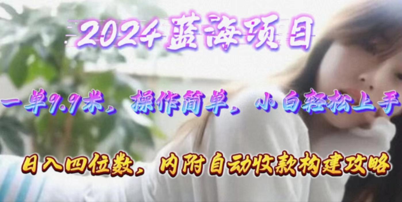 年轻群体的蓝海市场，1单9.9元，操作简单，小白轻松上手，日入四位数-随风资源网
