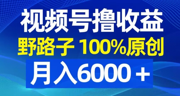 视频号野路子撸收益，100%原创，条条爆款，月入6000＋【揭秘】-随风资源网