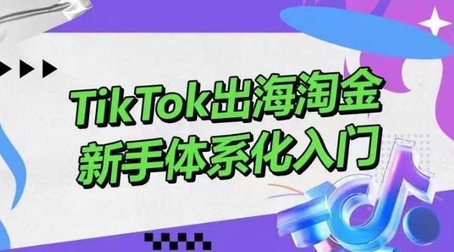 TikTok出海淘金，新手体系化入门，零基础快速入门，掌握短视频、直播带货等引流到变现的知识-随风资源网
