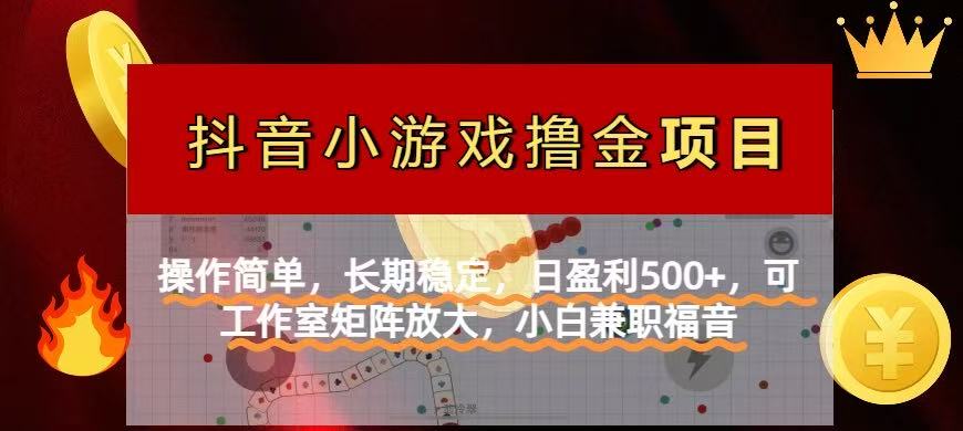 【抖音小游戏发行人计划项目】操作简单，长期稳定，日盈利500+，可工作…-随风资源网
