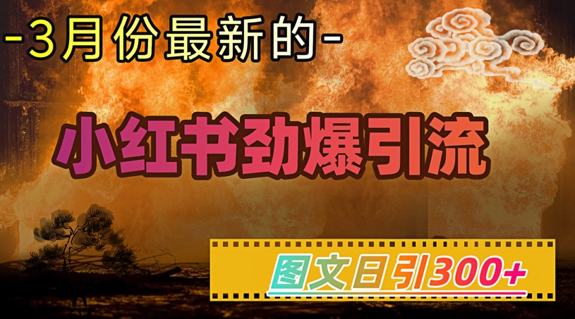 小红书超劲爆引流手段，图文日引300+轻松变现1W-随风资源网