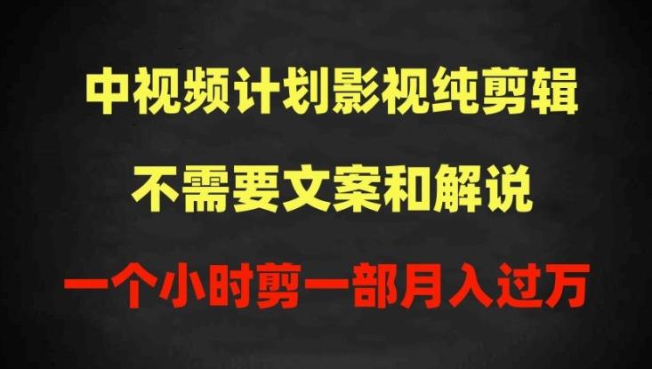 中视频计划影视纯剪辑，不需要文案和解说，一个小时剪一部，100%过原创月入过万【揭秘】-随风资源网
