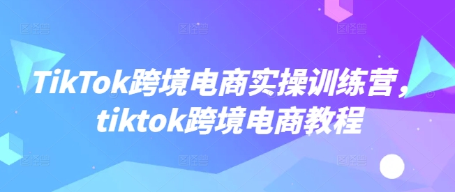 TikTok跨境电商实操训练营，tiktok跨境电商教程-随风资源网