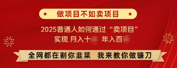 必看，做项目不如卖项目，2025普通人如何通过“卖项目”实现月入十个，年入百个-随风资源网