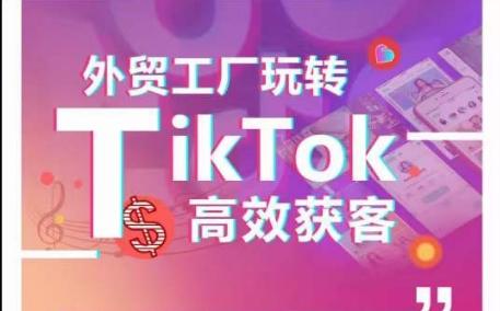 外贸工厂玩转TikTok高效获客，多种引流方式与账号定位技巧，拆解爆款短视频打造成功案例-随风资源网