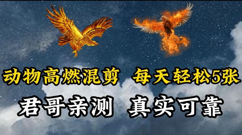 动物超燃混剪，每天轻松5张，剪辑简单大家爱看【揭秘】-随风资源网