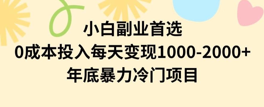小白副业首选，0成本投入，每天变现1000-2000年底暴力冷门项目【揭秘】-随风资源网