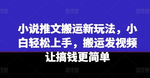 小说推文搬运新玩法，小白轻松上手，搬运发视频让搞钱更简单-随风资源网