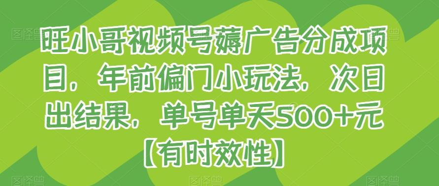 旺小哥视频号薅广告分成项目，年前偏门小玩法，次日出结果，单号单天500+元【有时效性】-随风资源网