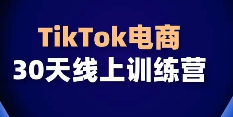 TikTok电商带货30天线上课，不可错过的全球流量洼地！-随风资源网