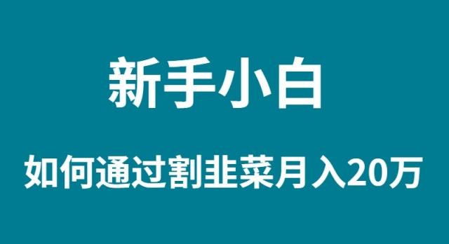 (9308期)新手小白如何通过割韭菜月入 20W-随风资源网