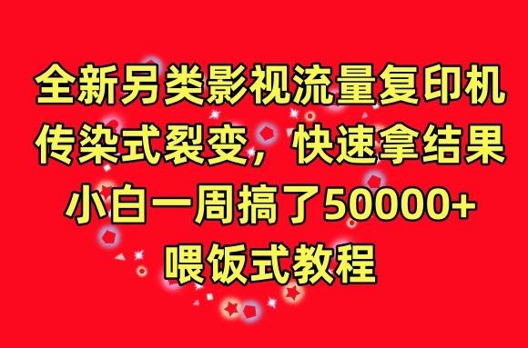 全新另类影视流量复印机，传染式裂变，快速拿结果，小白一周搞了50000+，喂饭式教程【揭秘】-随风资源网