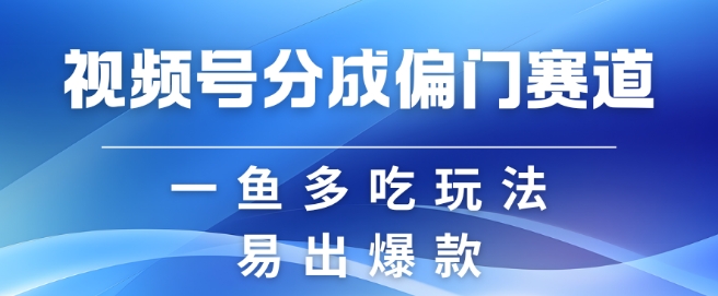 视频号创作者分成计划偏门类目，容易爆流，实拍内容简单易做【揭秘】-随风资源网