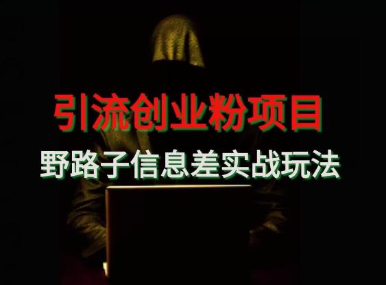 【引流创业粉】野路子信息差玩法实战教学-随风资源网