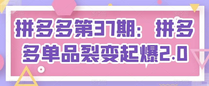 拼多多第37期：拼多多单品裂变起爆2.0-随风资源网