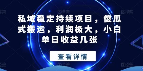 私域稳定持续项目，傻瓜式搬运，利润极大，小白单日收益几张【揭秘】-随风资源网